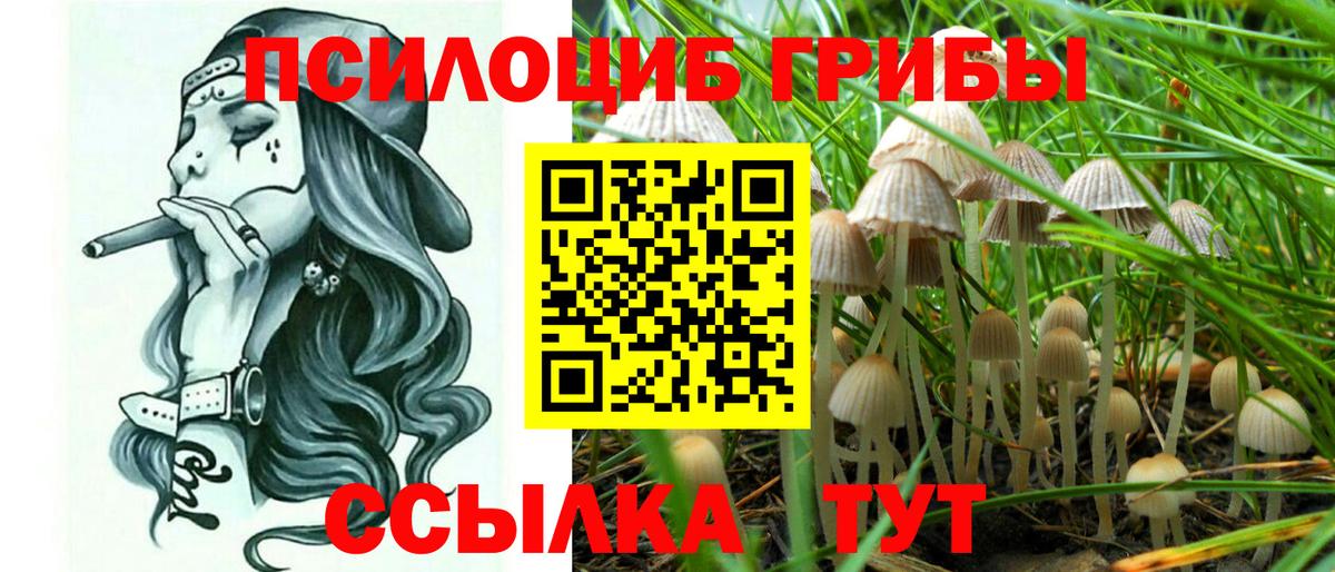 Псилоцибиновые грибы мицелий  Вход с VPN  Туймазы 